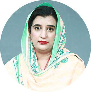 Dr. Qurat-ul-ain Nazar, Lecturer